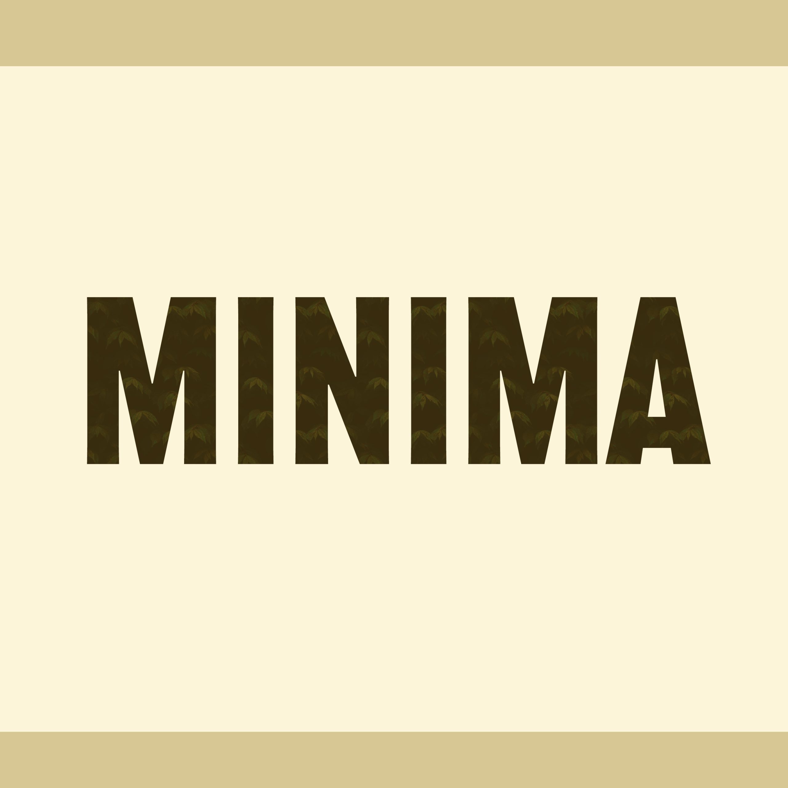 Tayfun Göl – Minima